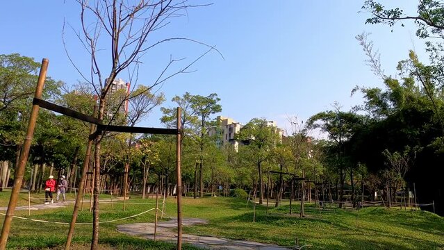 Walking in the Daan Forest Park