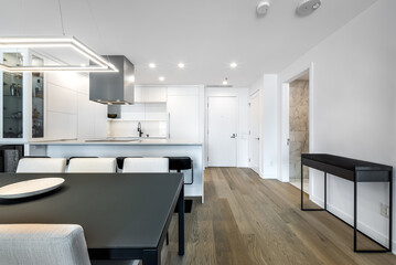 Luxury modern apartment in condominium in Montreal perfectly staged and furnished with amentinites common areas swimming pool, rooftop, terrace, gym, garden and city views