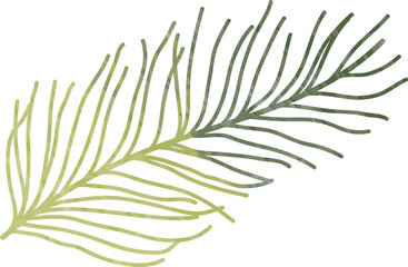 Watercolor winter pine leaf 