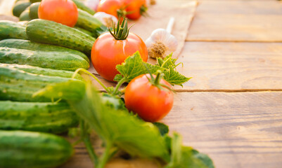 Fresh vegetables on a wooden background. Empty space for the text. Cucumbers, tomatoes, garlic, dill. Top view.