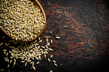 Grain of wheat in a bowl.