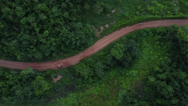 Camino de tierra en el bosque o monta&ntilde;a de Venezuela