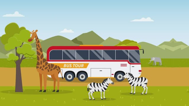 Bus tour driving in safari zoo 2d animation