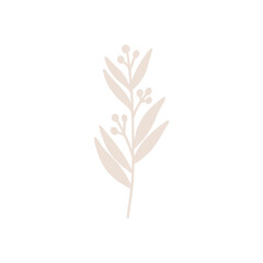 tree branches, eucalyptus, palm leaves, herbs and flowers silhouettes