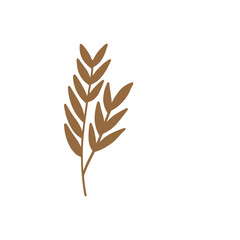 tree branches, eucalyptus, palm leaves, herbs and flowers silhouettes