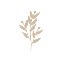 tree branches, eucalyptus, palm leaves, herbs and flowers silhouettes