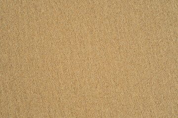 Wet smooth sand on the beach. Background on the theme of travel and seaside holidays on the coast.