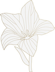 Wildflower gold line art