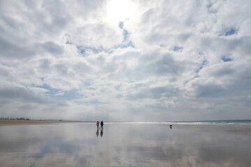 Playa con pareja paseando con dos perros y cielo con nubes reflejadas en la arena húmeda, Conil de la Frontera, Andalucía, España