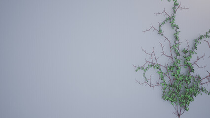 Plant leaves on a white background for use in writing any texts or displaying posters and pasting pictures