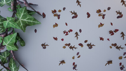 Green leaves on white background as botanical frame flatlay, eco design and spring nature flat lay concept
