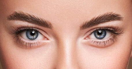 Obraz premium Beautiful female eyes with long eyelashes. Eyelash extensions. Makeup, cosmetics, beauty. Close up, macro