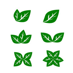 different types of green leaves