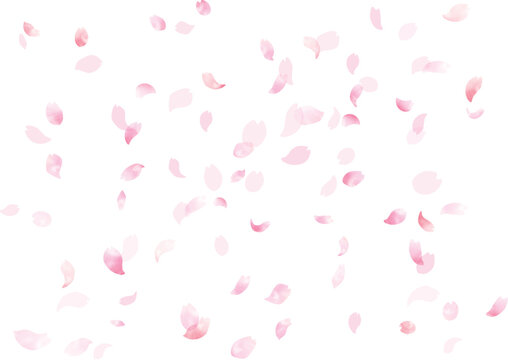 桜吹雪 Images – Browse 26,300 Stock Photos, Vectors, and