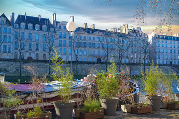 Paris, ile saint-louis and quai de Bourbon, with house boats on the Seine, beautiful ancient buildings
