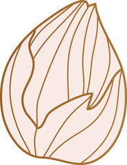 Bud wild rose flower gold line art