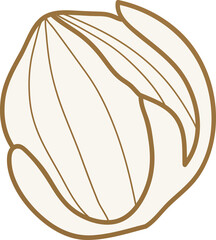 Cherry blossom flower bud golden line art