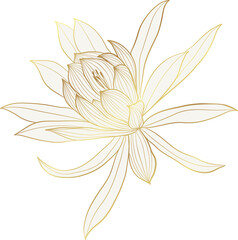 Wildflower gold line art