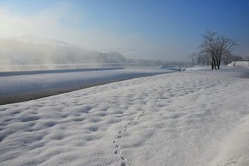 雪国魚沼の冬の朝霧湧く魚野川岸雪原