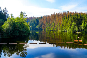Oker reservoir near Altenau in the Harz Mountains. View from the Okertalsperre to the Oker See and...