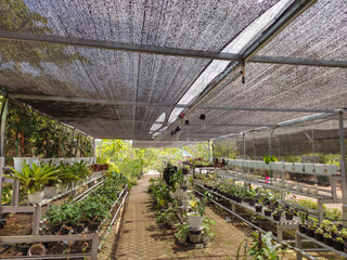 Garden plants in pots with a sun shade net on top for protection from the sun. Outdoor