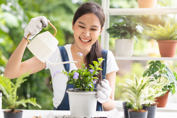 Spring hobby, happy asian young woman hand holding watering can in flowerpot, houseplant with dirt...