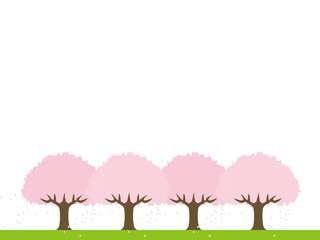 桜の木4B