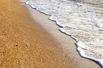Sea beach sand background.