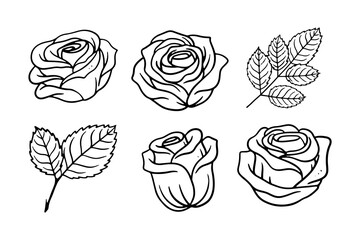 set of rose illustration for retro design ornament