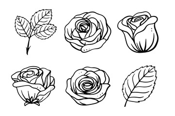 Set of rose illustration for tattoo and vintage design element