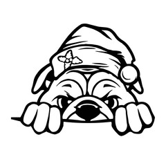 Santa Hat English Bulldog 