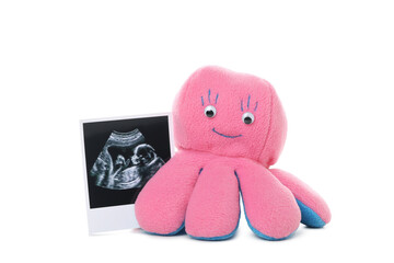 Concept of pregnancy, isolated on white background