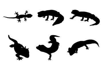 Set of silhouettes of geckos vector design