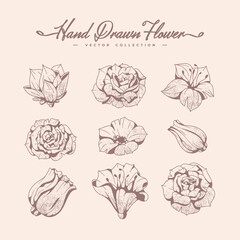 vintage hand drawn beautiful flower collection template