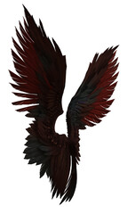 3D Rendered Black-Red Fantasy Angel Wings Isolated On Transparent Background - 3D Illustration