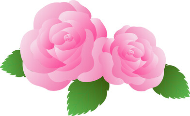 pink rose flower PNG 2023011804