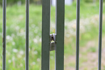 green lawn behind iron fence,nature behind bars