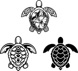turtle illustration