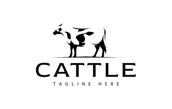 Cattle Farm Logo Design. Cow Cattle in the Field. Cattle Silhouette Vector Illustration.