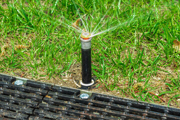 Garden irrigation system lawn. Automatic lawn sprinkler watering green grass. Selective focus.