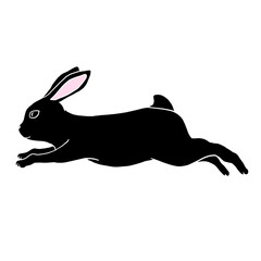 black rabbit, 흑토끼, 토끼해 일러스트