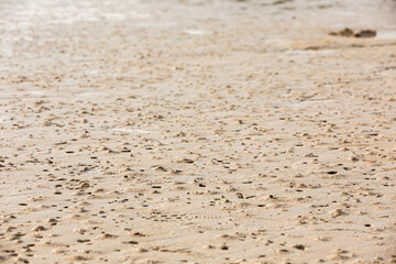 sand on the beach