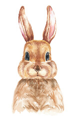 Watercolour easter bunny rabbit. Animal illustration.
