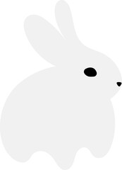 White rabbit