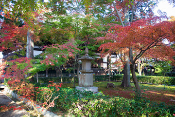 Autumn leaves at Shinnyodo temple, Kyoto, Japan