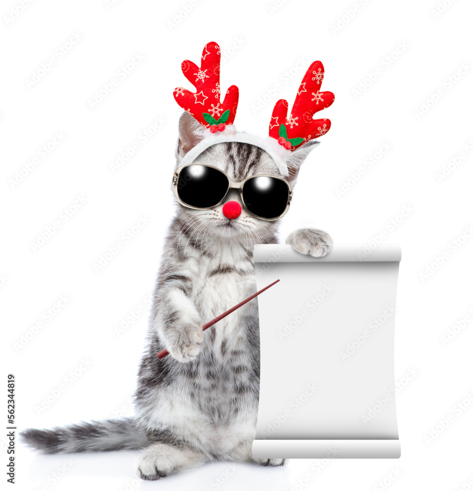 Poster funny kitten dressed like santa claus reindeer rudolf holds glass of champagne and shows empty list.
