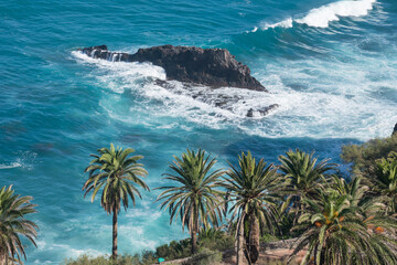 Palmeras y roque en la Rambla de Castro en la costa de Los Realejos al norte de la isla de Tenerife, Canarias