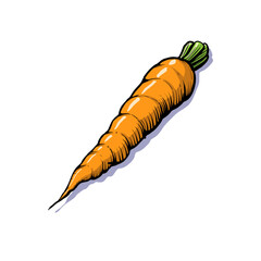Hand-drawn vector illustration of a carrot on white background