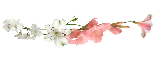 White flowers. Floral background. Green leaves. Eustoma. Lilies. Gladiolus.