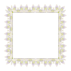 Watercolor hand drawn square frame with spring flowers, snowdrops, green fresh leaves. Isolated on white background. Design for invitations, wedding, greeting cards, wallpaper, print, textile.